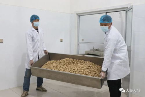 大城縣小微企業(yè)轉(zhuǎn)型初探 專注舌尖上的品質(zhì) 市場(chǎng)調(diào)研